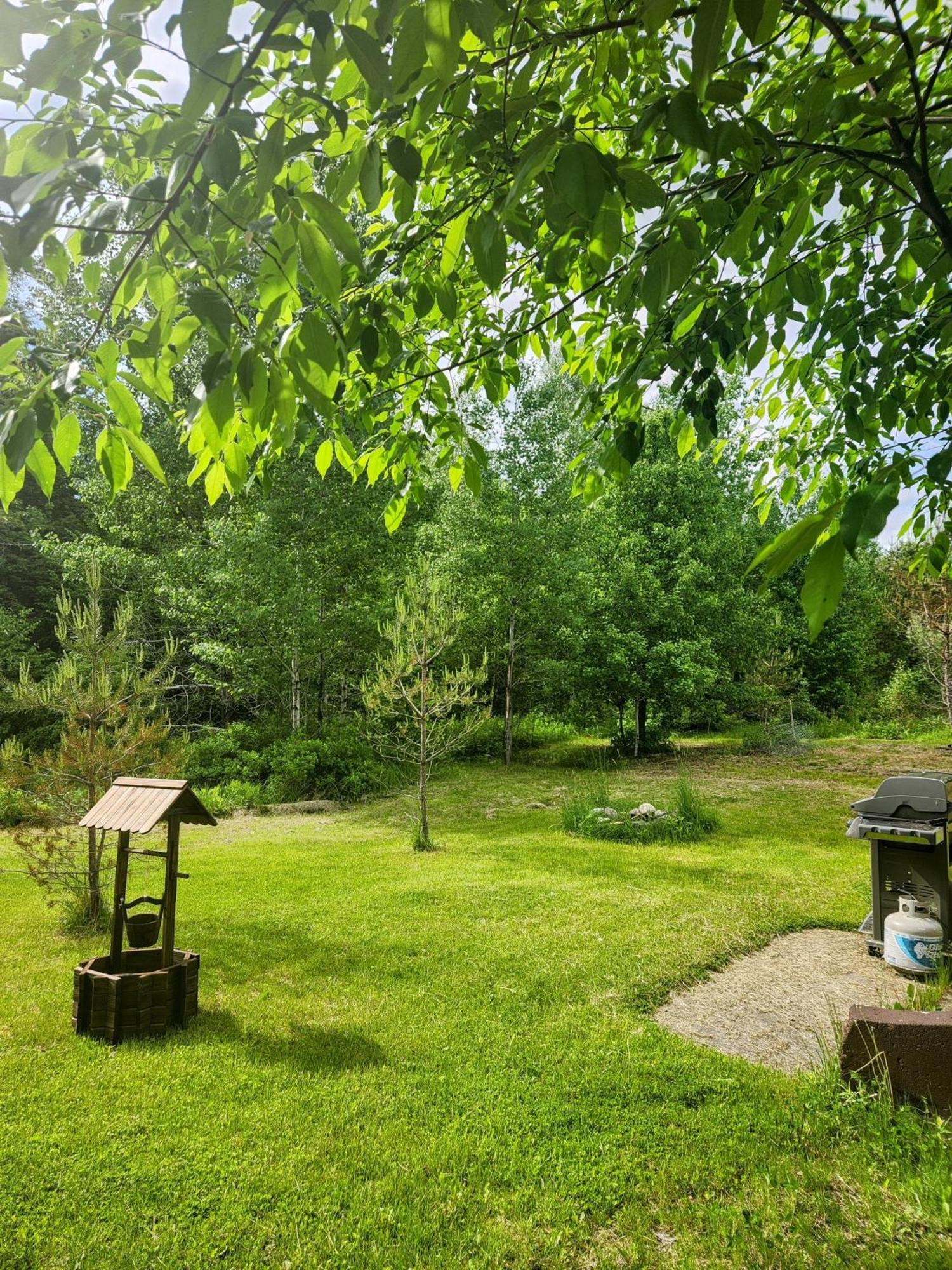 Backyard Bliss In The White Mountains Villa Lincoln Buitenkant foto